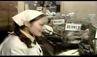 荒原城堡731 荒原城堡731